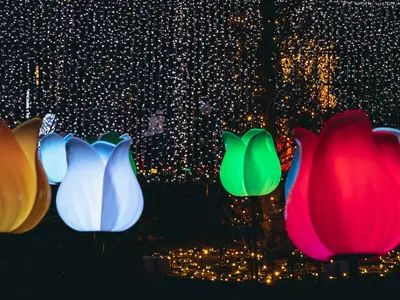 Warsaw, Poland - February 27, 2022: Light during Magical Botanic Garden exhibit in Botanic Garden of Warsaw University