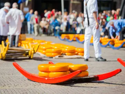 Many whole Dutch cheese at the market in Alkmaar