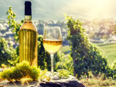 Bottle and full glass of white wine over vineyard background. Wine tasting and gastronomy concept