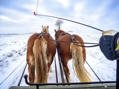 sleigh ride in the snow in Masuria in Poland