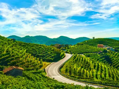 Vineyards and road. Prosecco Hills, Unesco World Heritage Site. Valdobbiadene, Veneto, Italy