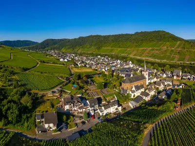 Panoramic view of the Moselle vineyards near Bruttig-Fankel, Germany. 
Created from several images to create a panorama image.