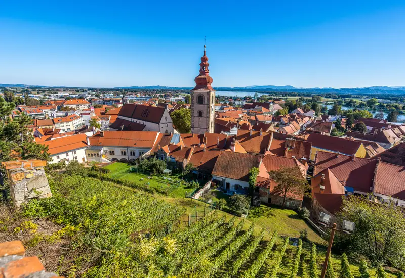 Unbekanntes Weinparadies Slowenien