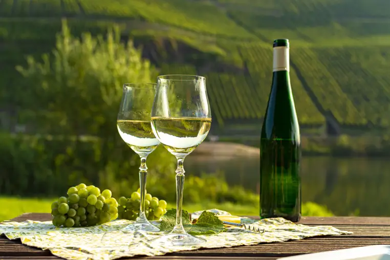 Famous German quality white wine riesling, produced in Mosel wine regio from white grapes growing on slopes of hills in Mosel river valley in Germany, bottle and glasses served outside in Mosel valley